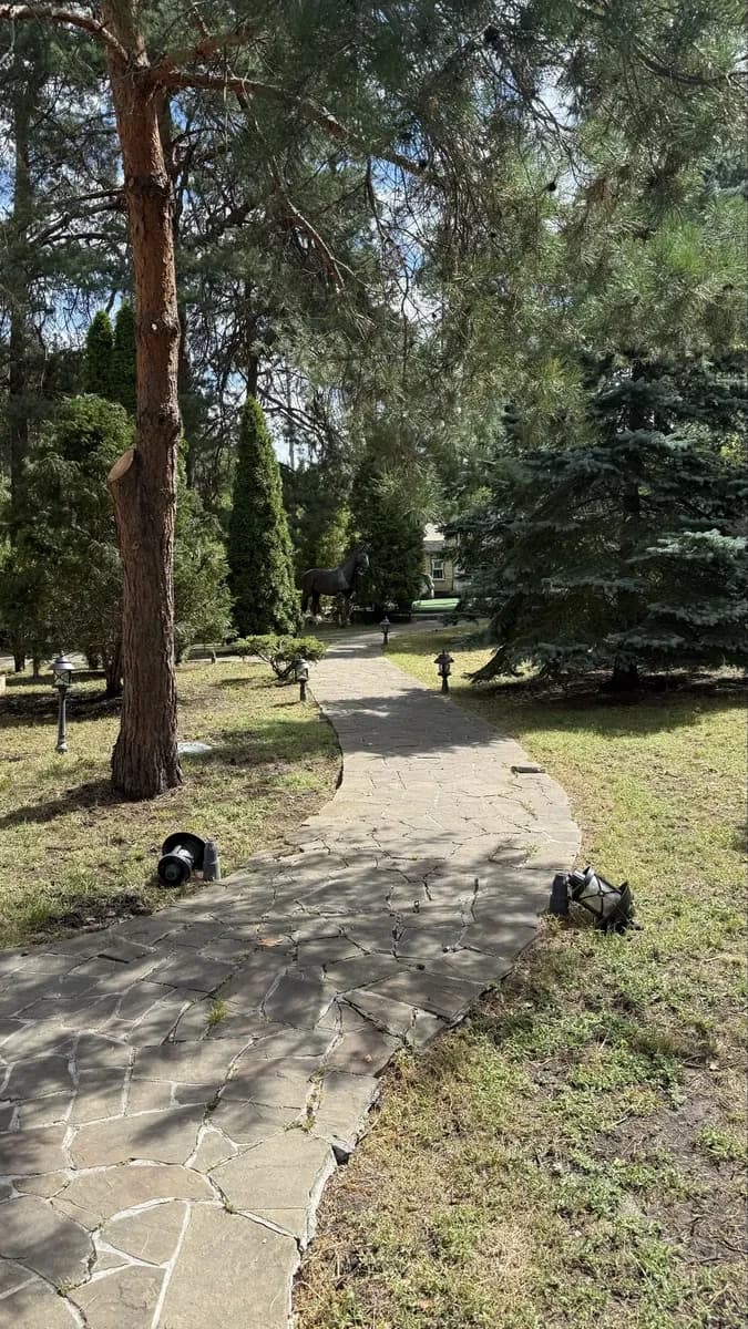Будинок, Дмитрівка: власний пруд, сосни, генератор - фото 3