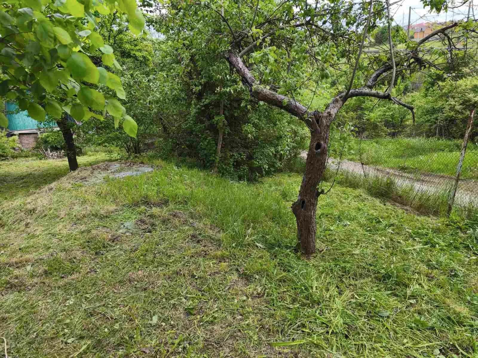 Дача, Бучми: літній будиночок, криниця з джерельною водою - фото 2