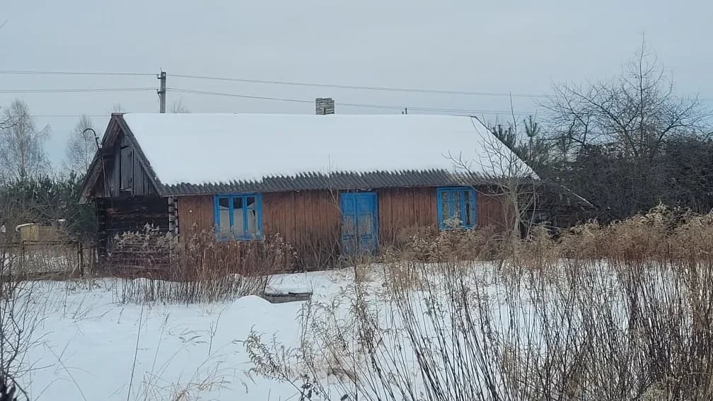 Будинок, Нова Кам'янка: світло підведене, газ за 100 м, 22 сотки - фото 1