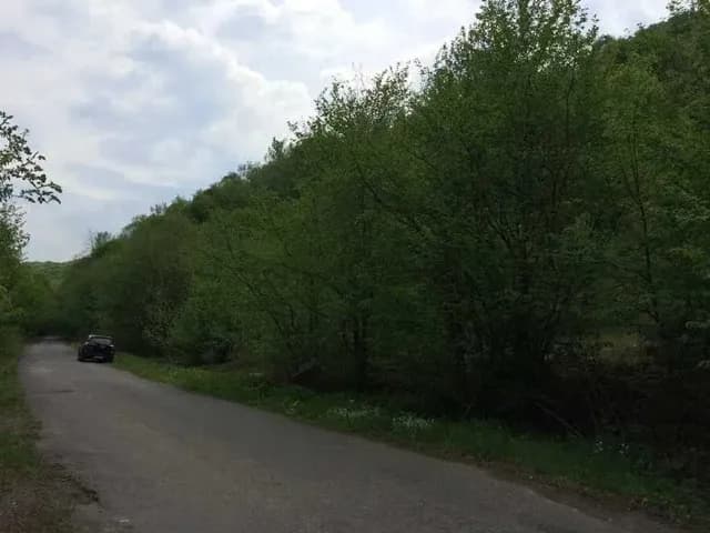 Ділянка 62 соток, Дубриничі: курорт Новоселиця, кордон зі Словаччиною - фото 5