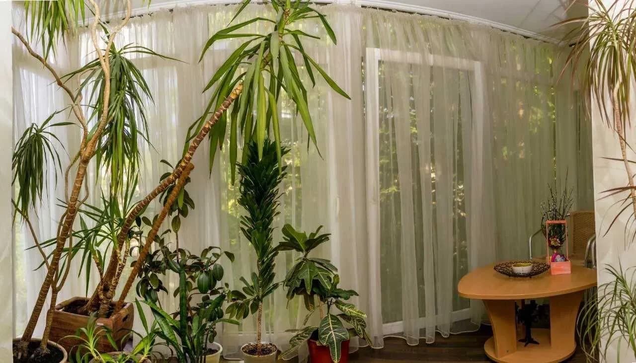 2-кімнатна квартира, Приморський: пляж Отрада, газова колонка - фото 4