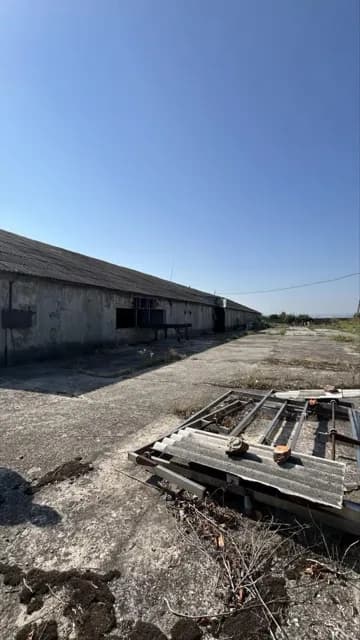 Агрокомплекс, Колубаївці: 350 соток, техніка, свинарник - фото 2