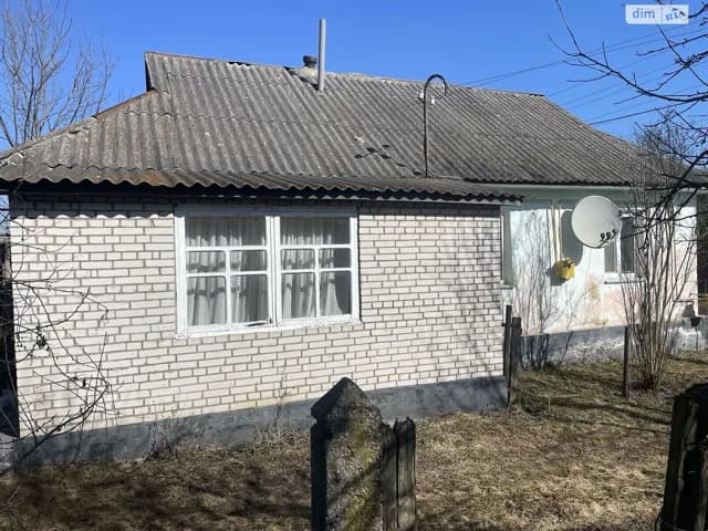 Будинок, Деражня: цегляні стіни, свердловина - фото 4