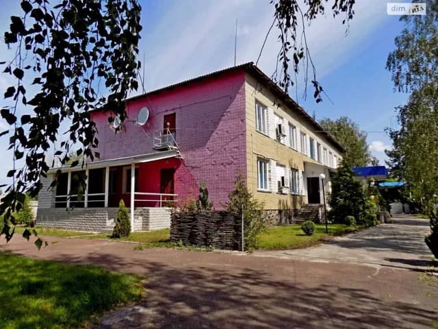 Комерційне приміщення, Чоповичі: 67 соток, 2 приміщення