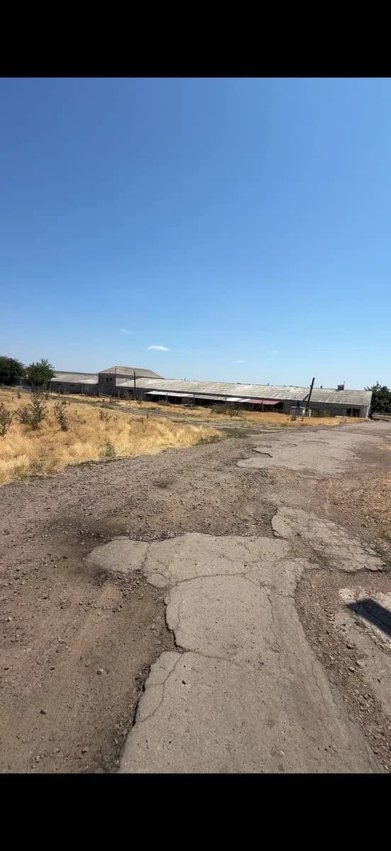 Ферма, Прибужжя: 4,6 га, електрика 380 В, 2 ангари 600 м²
