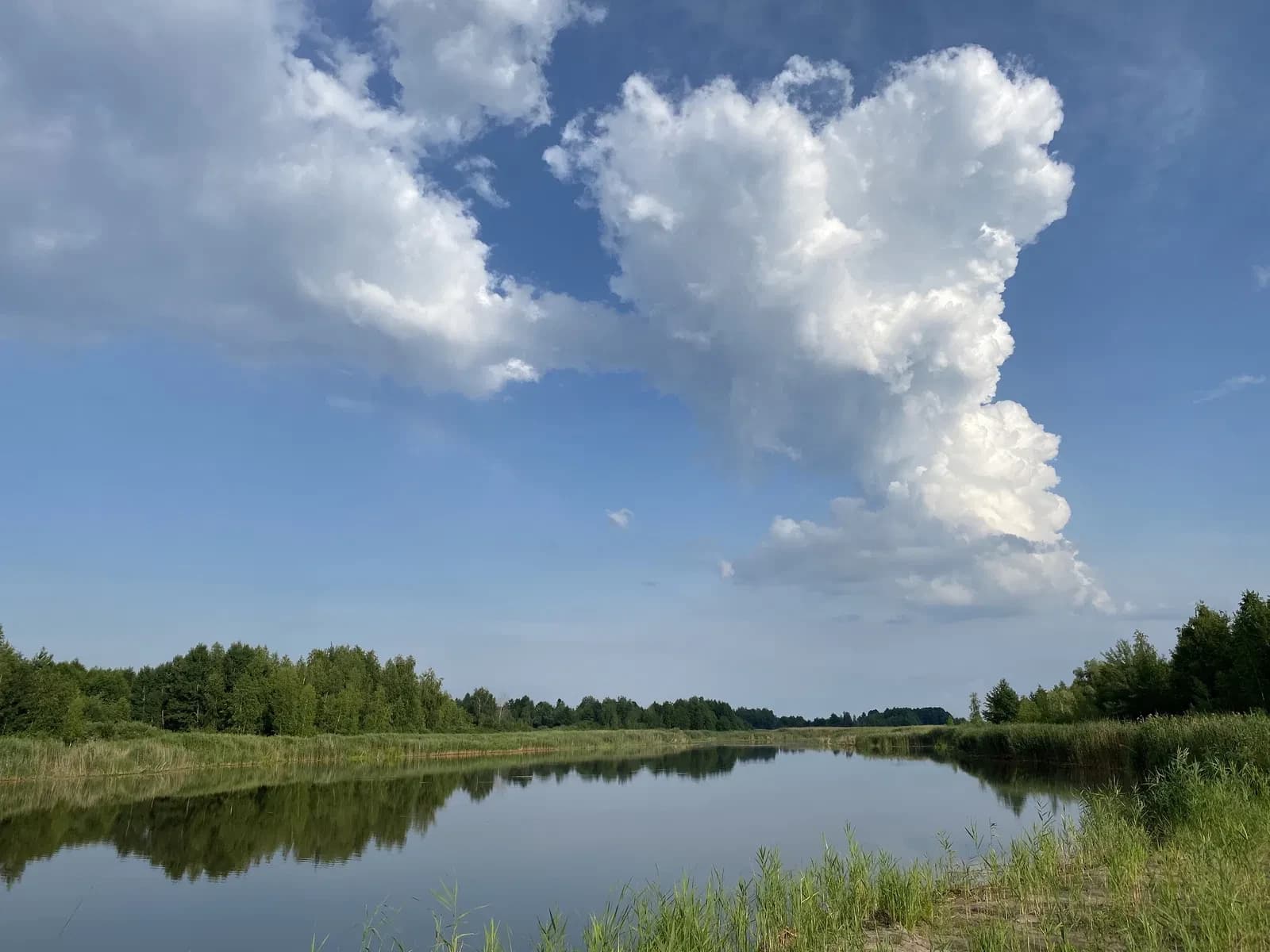 Ділянка 10 соток, Кийлів: вихід на Дніпро, електроенергія 20 кВт - фото 2