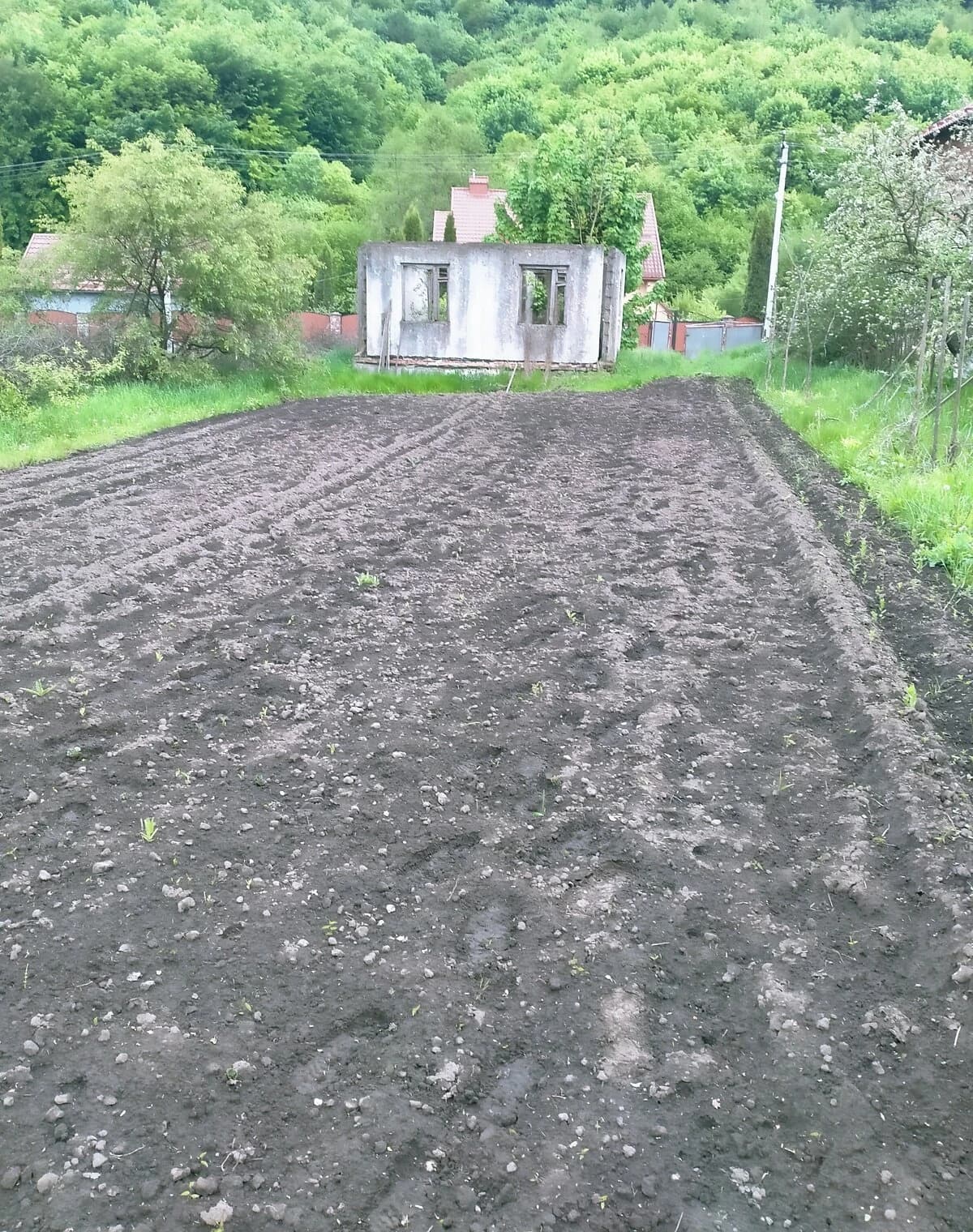 Ділянка 7.18 сотки, Лісники: сільськогосподарського призначення - фото 3