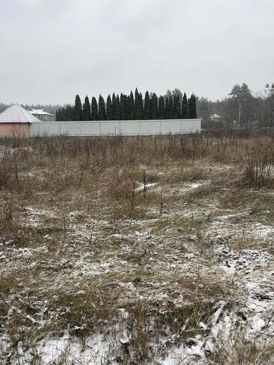 Ділянка 9,3 сотки, Жеребʼятин, Проців, Бориспіль: під забудову, газ - фото 5
