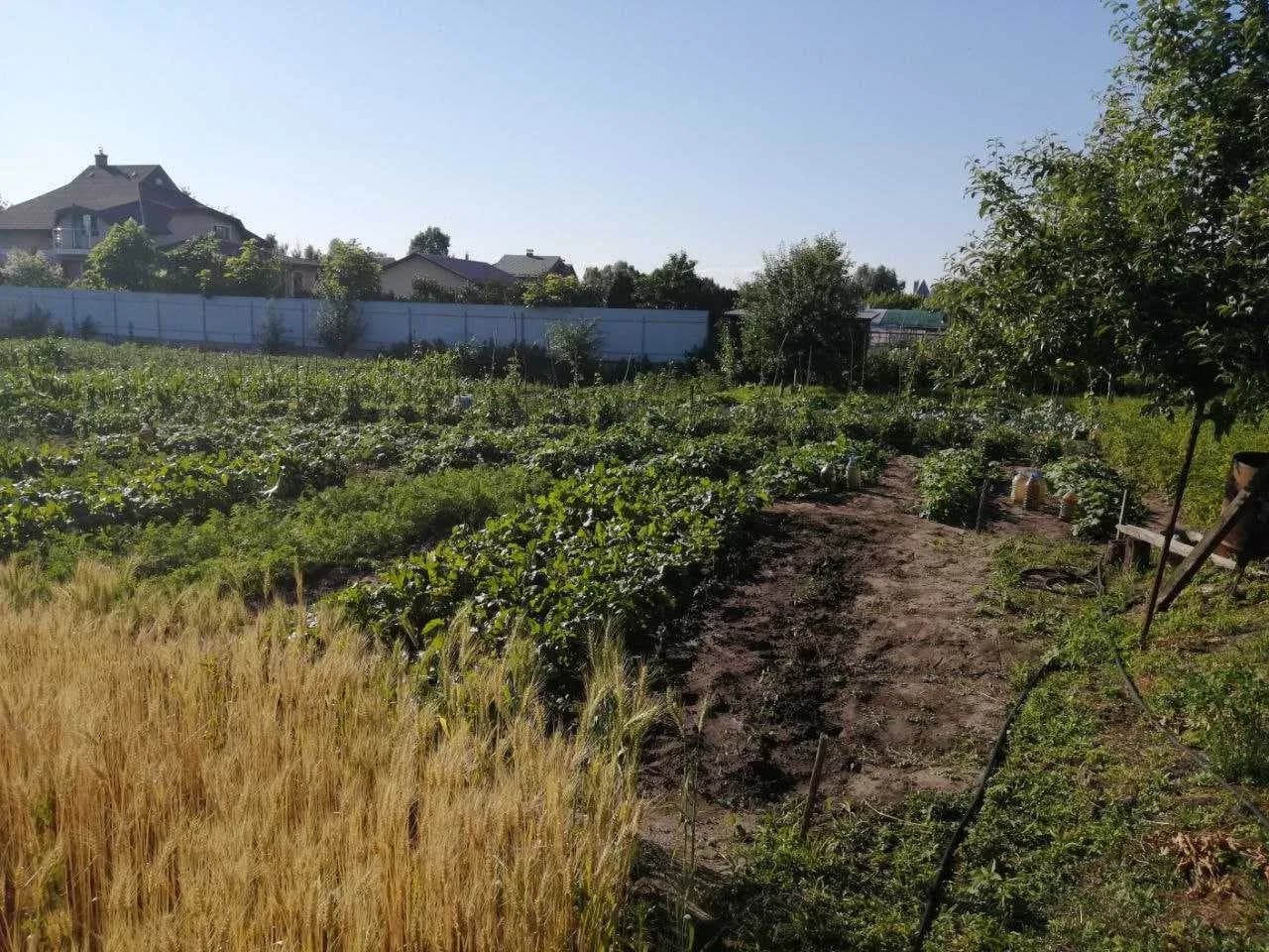 Ділянка 14,5 сотки, Погреби: під житлову забудову, госпспоруда - фото 3