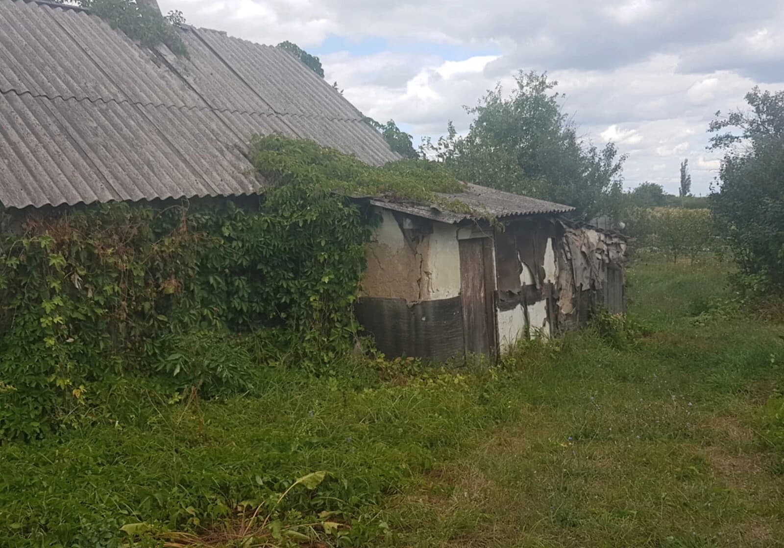 Ділянка 19.3 сотки, Печеніги: під житлову забудову, город і сад - фото 1