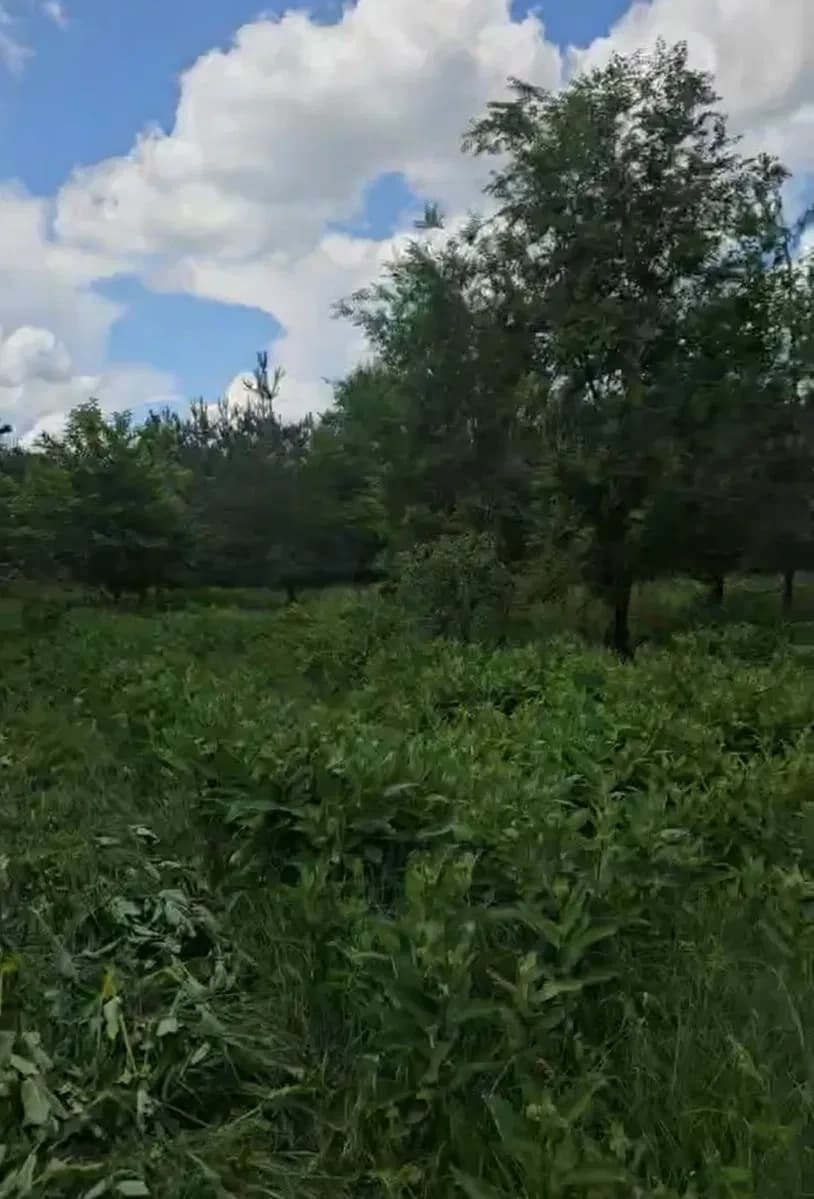 Ділянка 400 соток, Рудка: ліс і озеро поруч, асфальтована дорога - фото 2