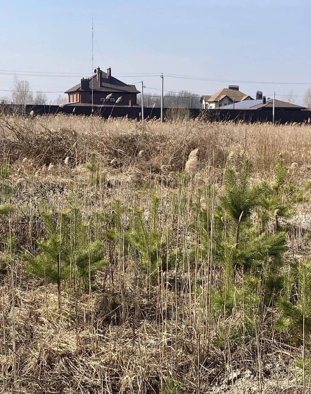 Ділянка 10 соток, Голосіївський: перша лінія, під житлову забудову - фото 4