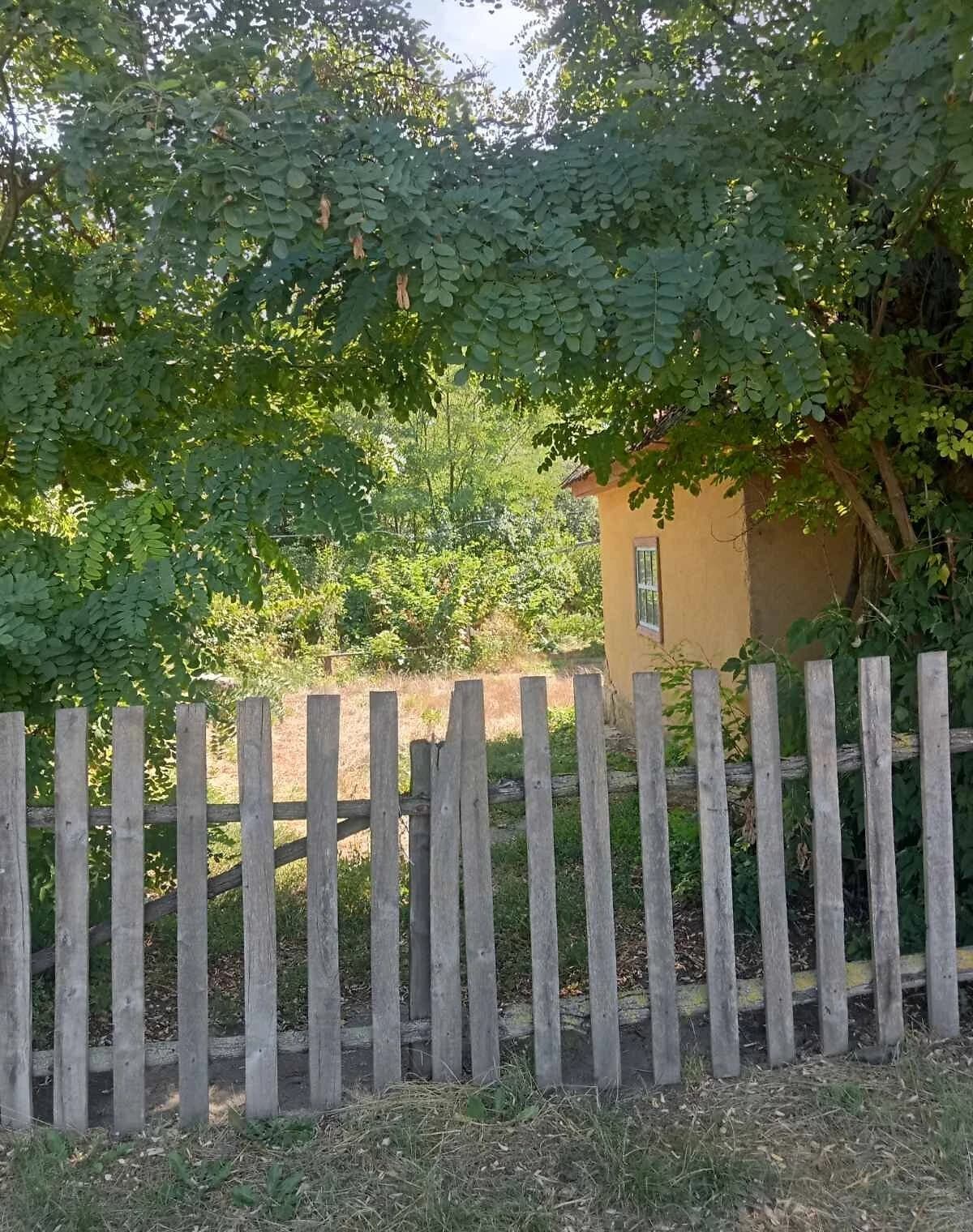 Будинок, Синьки: гараж, 40 соток, єВідновлення - фото 4
