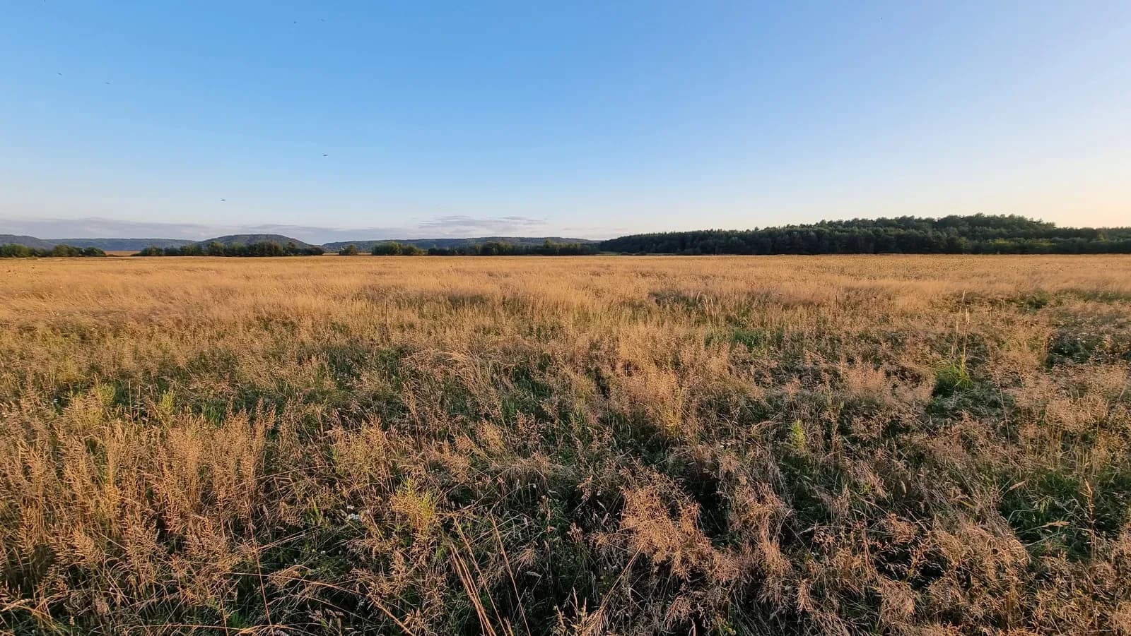 Ділянка 28 соток, Крехів: ОСГ, для поля або пасіки - фото 1