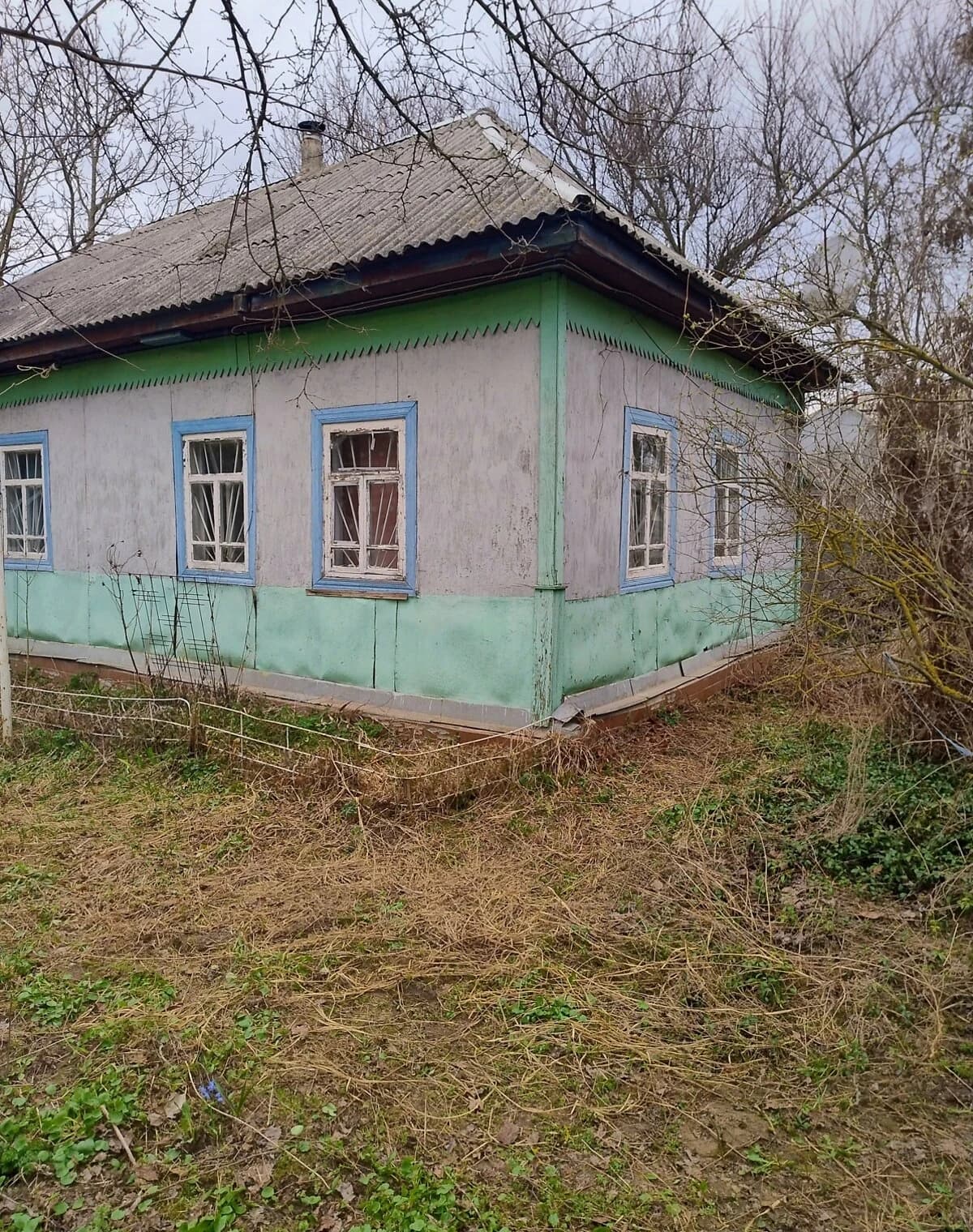 Дача, Володькова Дівиця: сад, город, погріб - фото 4