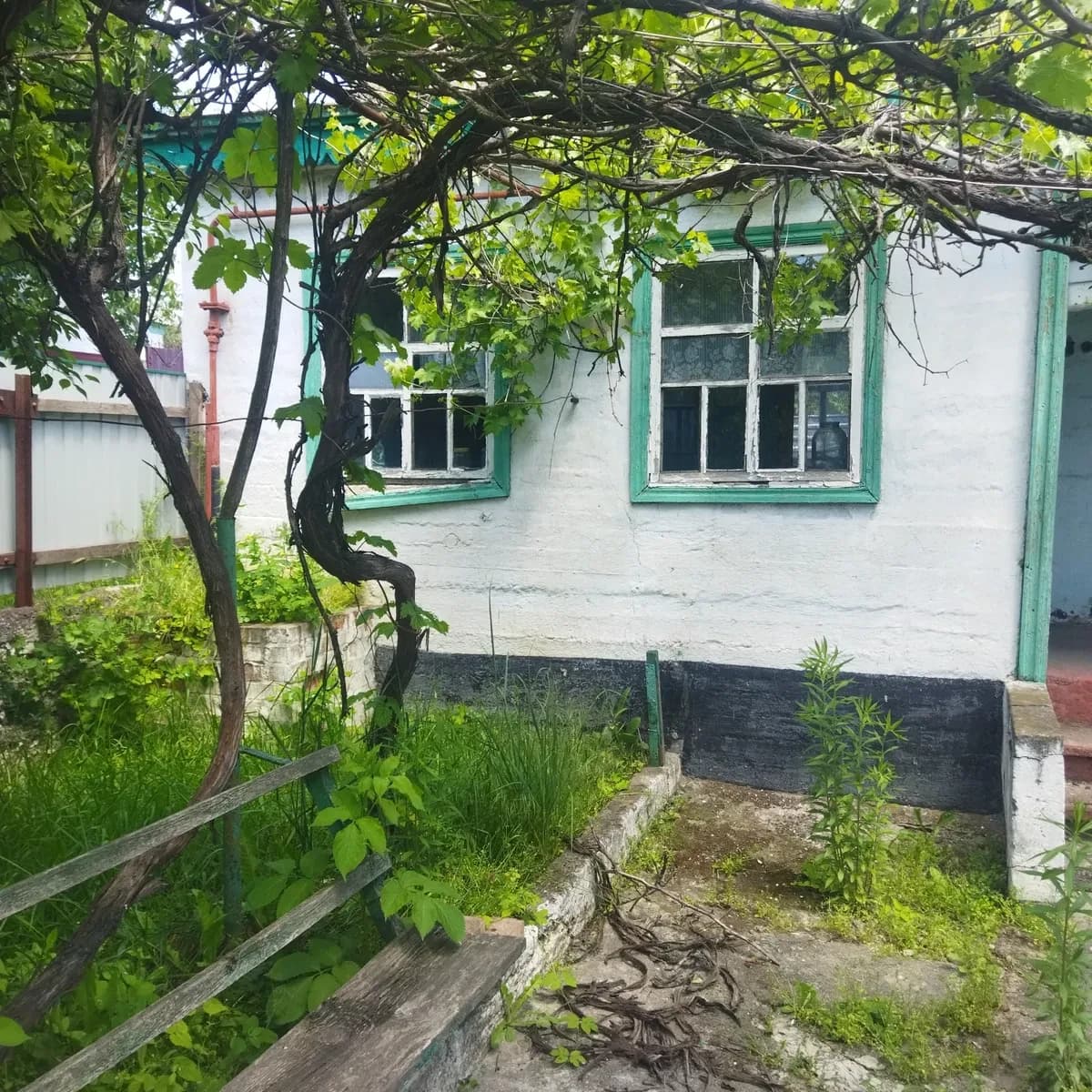 Будинок, Ясний/Таромське: 22 сотки, гараж, два будинки - фото 5