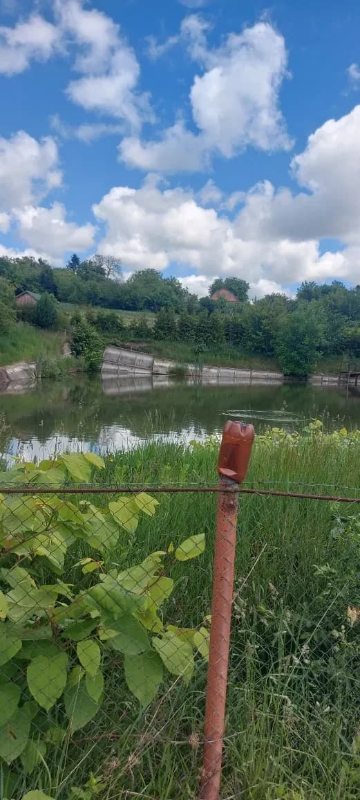 Ділянка 10 соток, Ружичанка: ставок із рибою, проточна вода - фото 1
