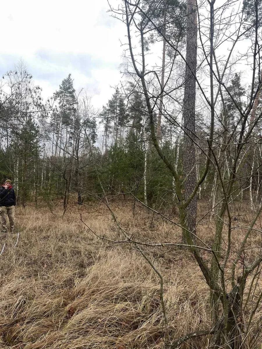 Ділянка 25 соток, Свидівок: заведена електрика, до 5 км від Черкас - фото 1