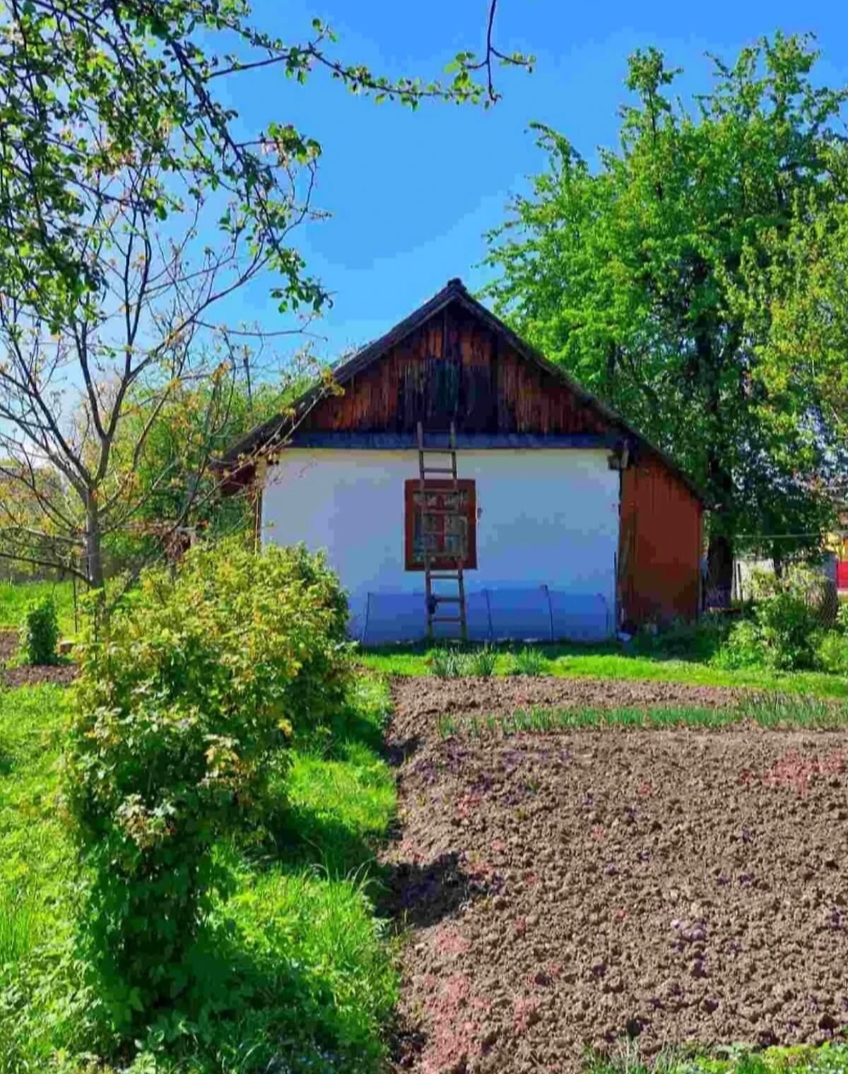 Ділянка 15.2 сотки, Копанки: під житлову забудову, чорнозем - фото 4