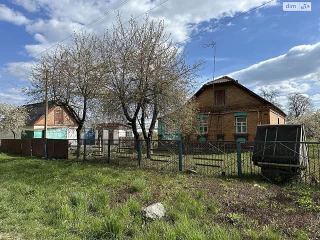 Будинок, Великі Гадомці: цегляні стіни, централізоване опалення - фото 1