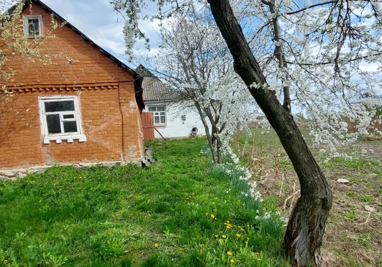 Будинок, Мізяків: 61 сотка, криниця, пічне опалення - фото 3