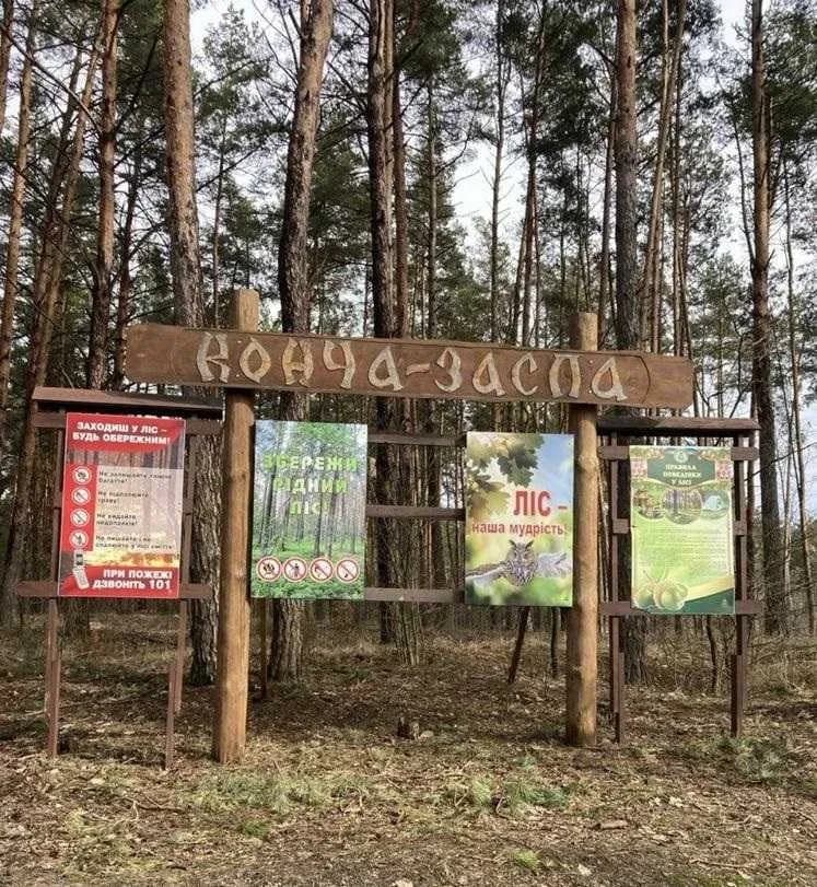 Ділянка 10 соток, Мриги: перша лінія від води, під будівництво - фото 5