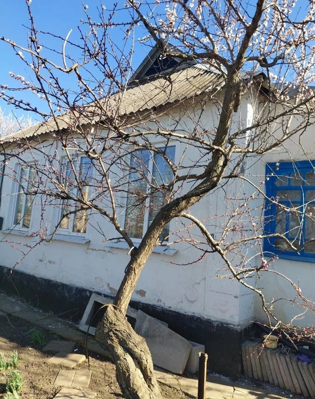 Будинок, Новомалинівка: цегляні стіни, єОселя - фото 2