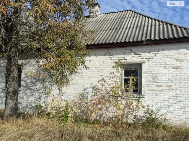 Будинок, Жукин: цегляні стіни, літня кухня - фото 3