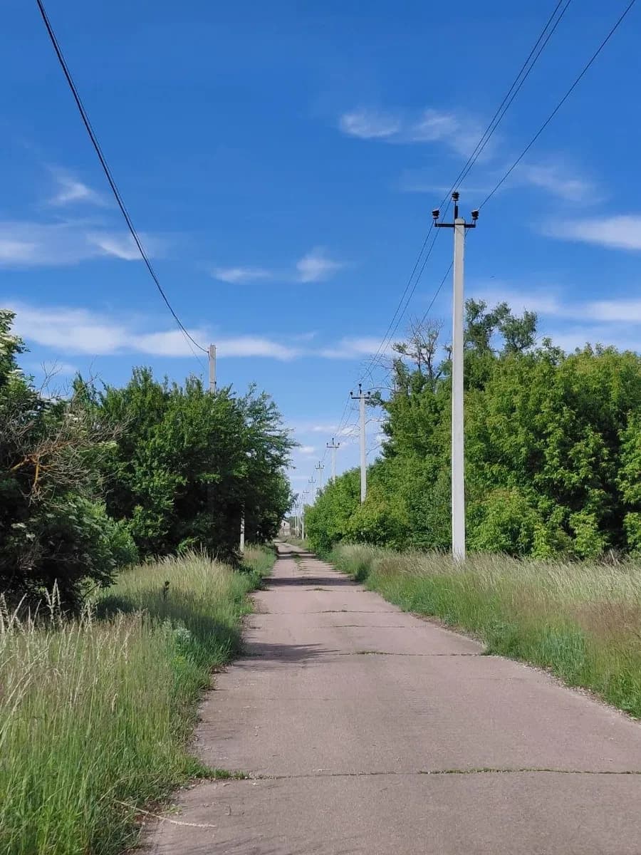Ділянка 11,8 соток, Затишне: під житлову забудову, електрика поруч - фото 4
