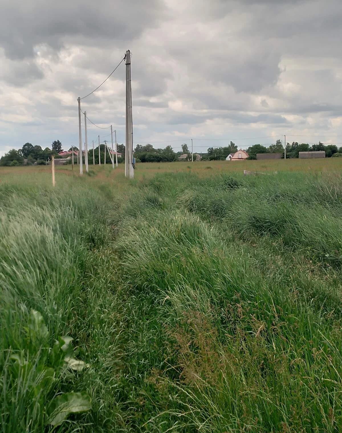 Ділянка 5.87 сотки, Луб'янка (Бородянка): під житлову забудову, електрика - фото 1