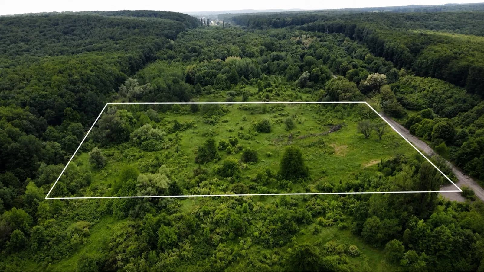 Ділянка 140 соток, Валя Кузьмина: ліс, асфальтована дорога