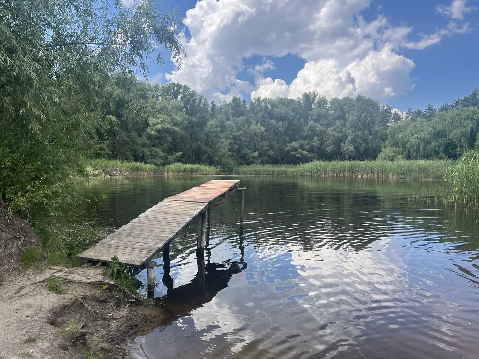 Дача, Куліші: біля соснового лісу та озера, 5 соток - фото 2