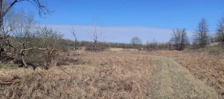 Ділянка 300 соток, Халеп'я: річка та ліс, для ферми - фото 4