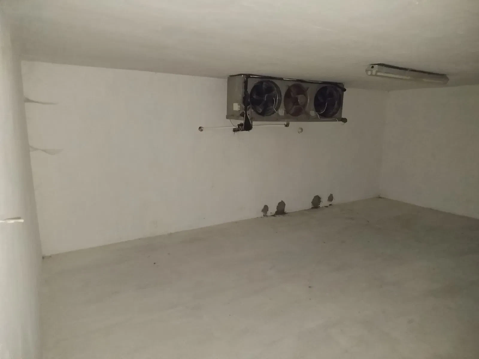 Склад, Колбаєвичі: сухий склад 220 м², дві морозильні камери - фото 5