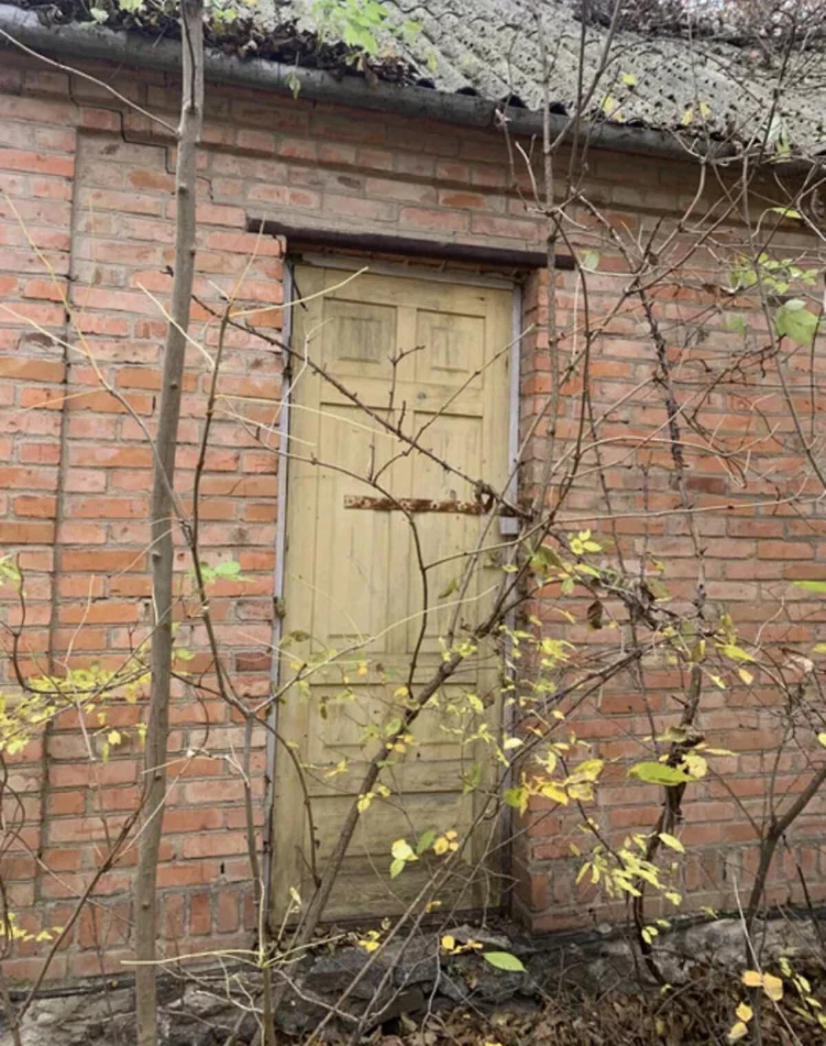 Будинок, Подолянці: город, цегляні стіни, шиферний дах - фото 3