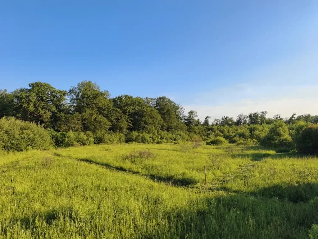 Ділянка 10 соток, Павшино: під забудову, поруч ліс, до 5 км від міста - фото 4