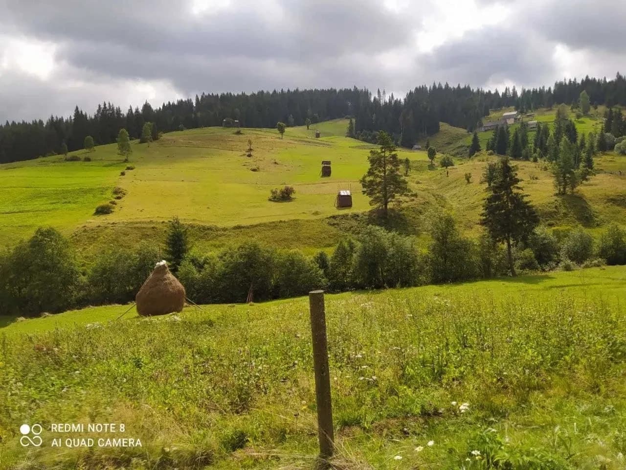 Ділянка 105 соток, Сенечів: річка Обнога, хвойний ліс - фото 1