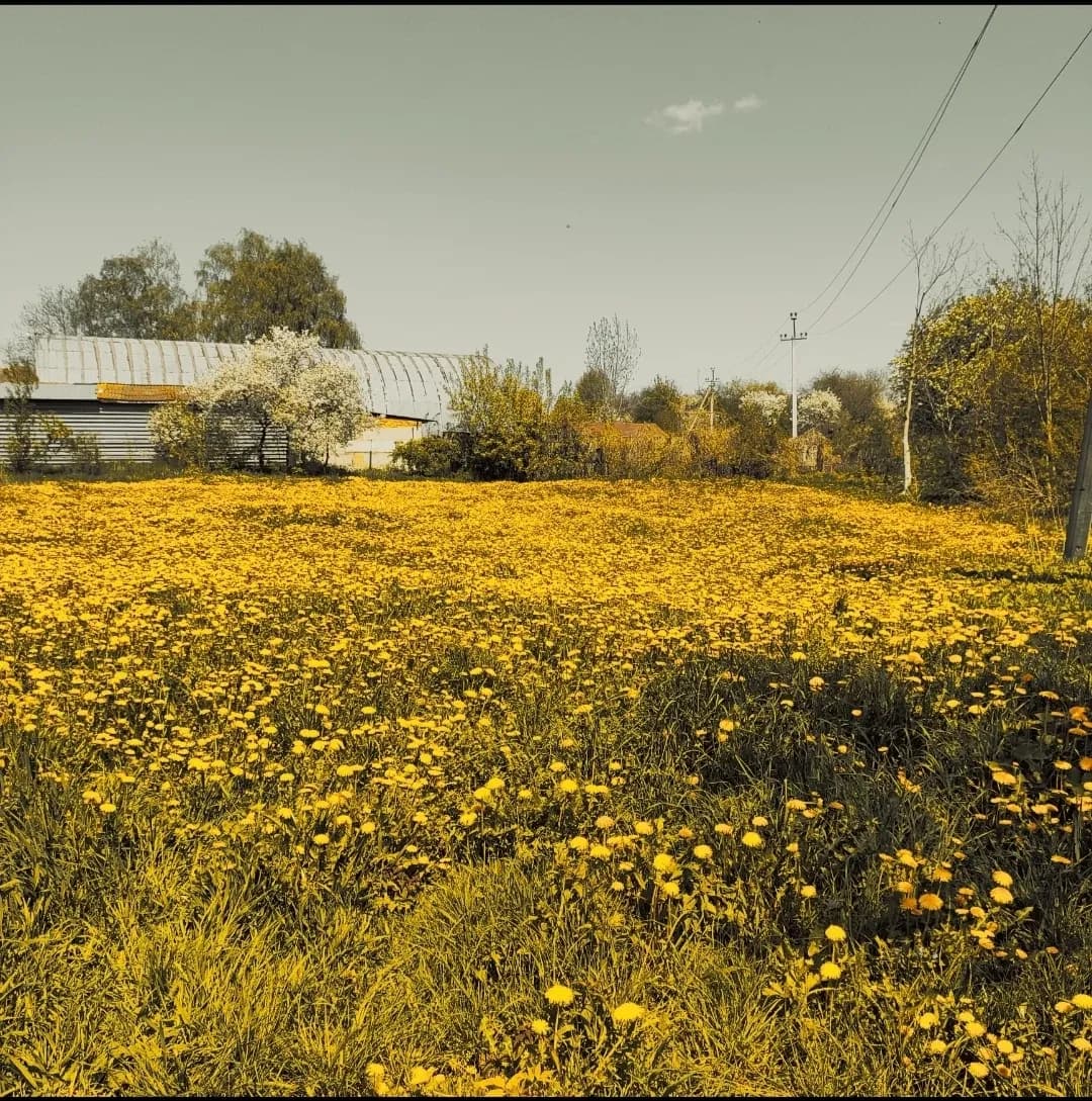 Ділянка 10 соток, Шепетівка: під забудову, приватизована - фото 3