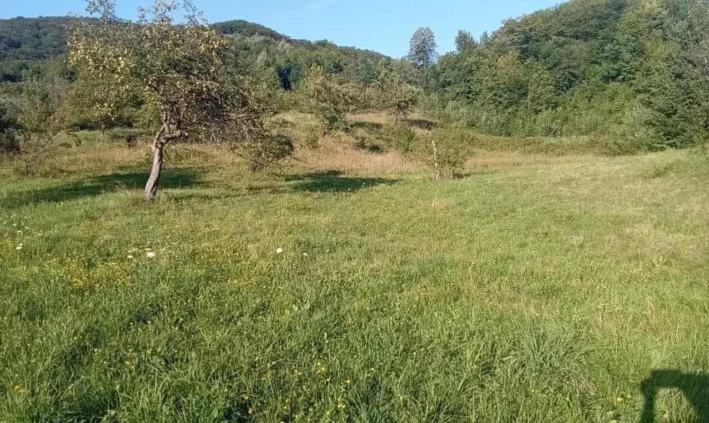 Ділянка 17 соток, Виженка: будинок, під лісом, без комунікацій - фото 4