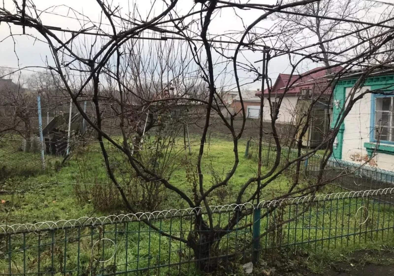 Ділянка 14.37 соток, Криве Озеро: під житлову забудову, будинок - фото 5