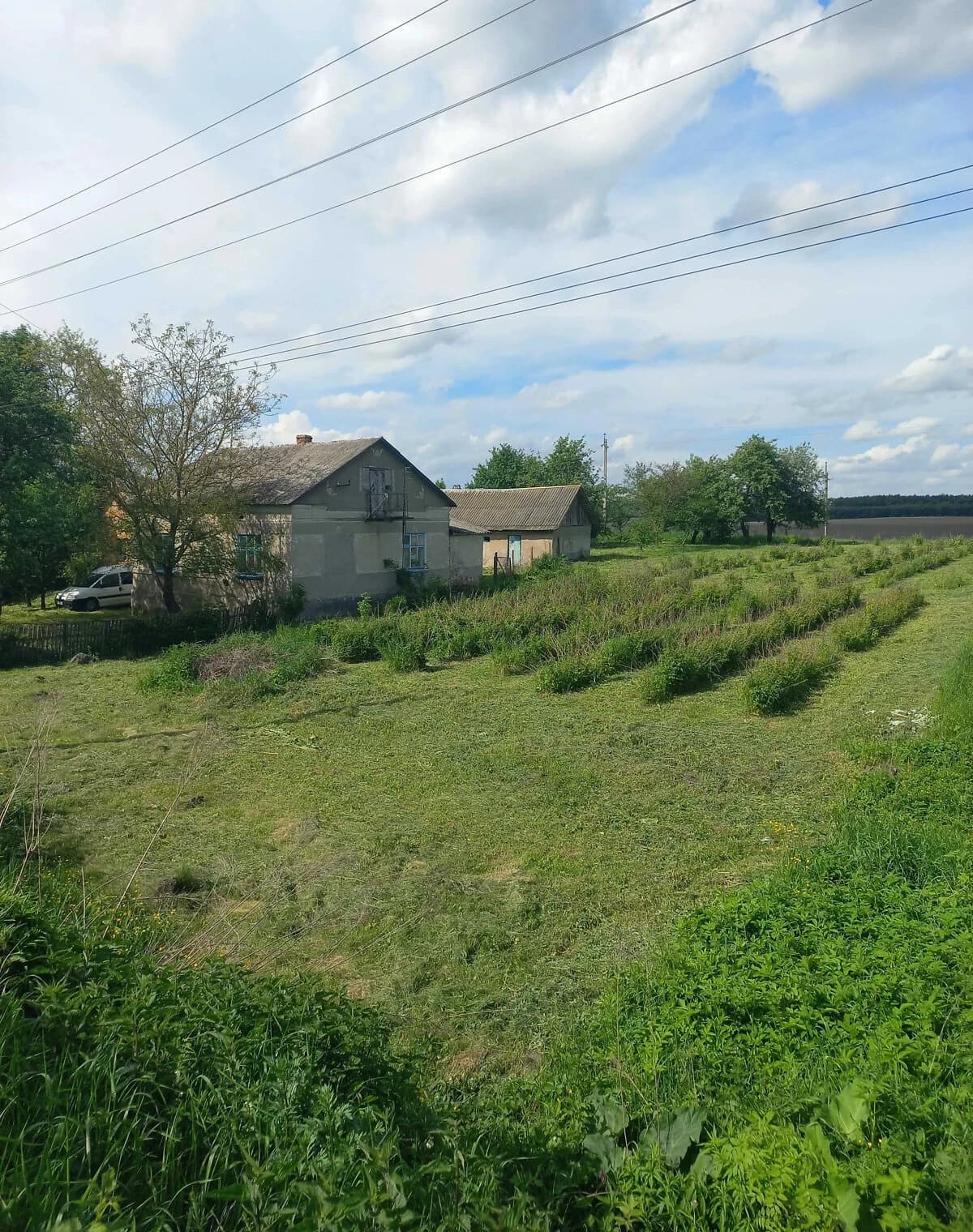 Будинок, Мшанець (Зборів): цегляні стіни, централізоване опалення - фото 4