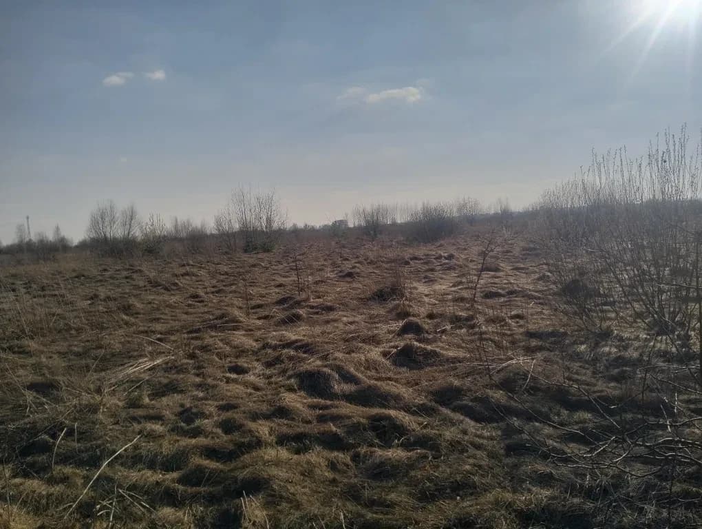 Ділянка 10 соток, Глибочиця: обмін на автомобіль - фото 3