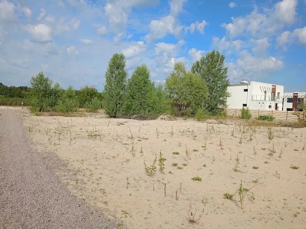 Ділянка 20 соток, Козине (Рудики): 20 кВт, асфальтований під’їзд - фото 5