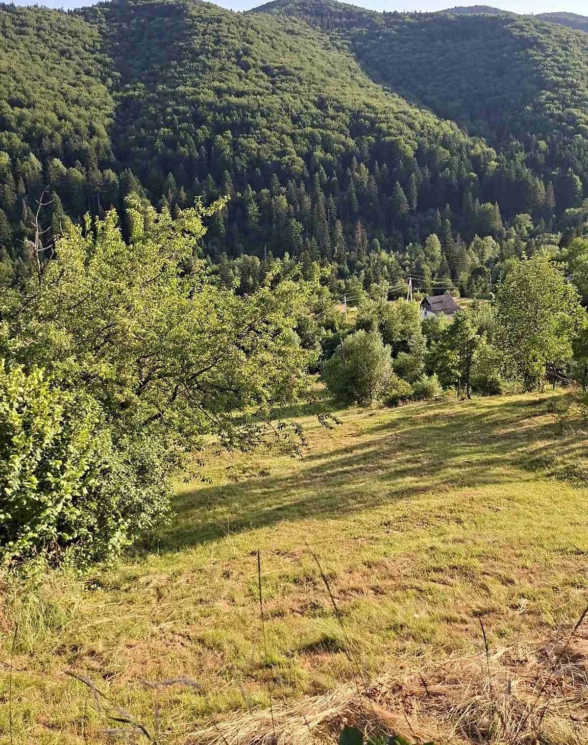 Ділянка 15.2 соток, Яремче: сільськогосподарська, електрика - фото 4