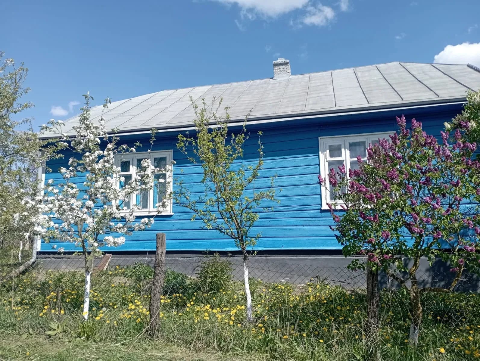 Будинок, Сільце: 25 соток, надвірні споруди, газове опалення - фото 1