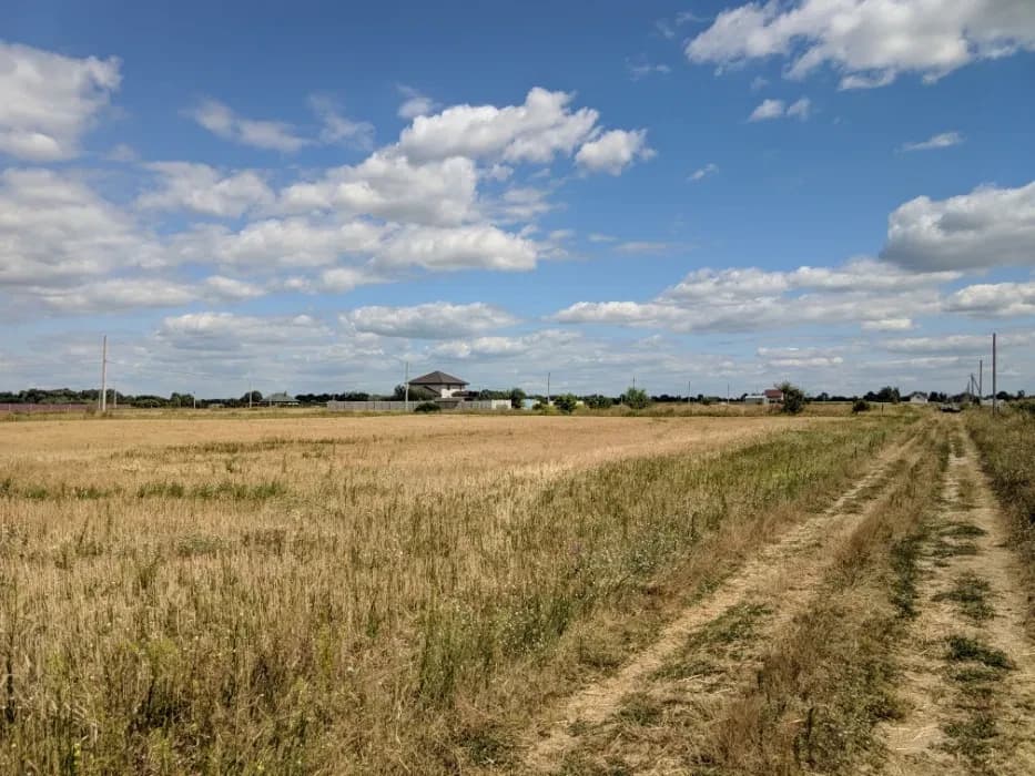 Ділянка 25 соток, Дударків: під забудову, електрика - фото 2