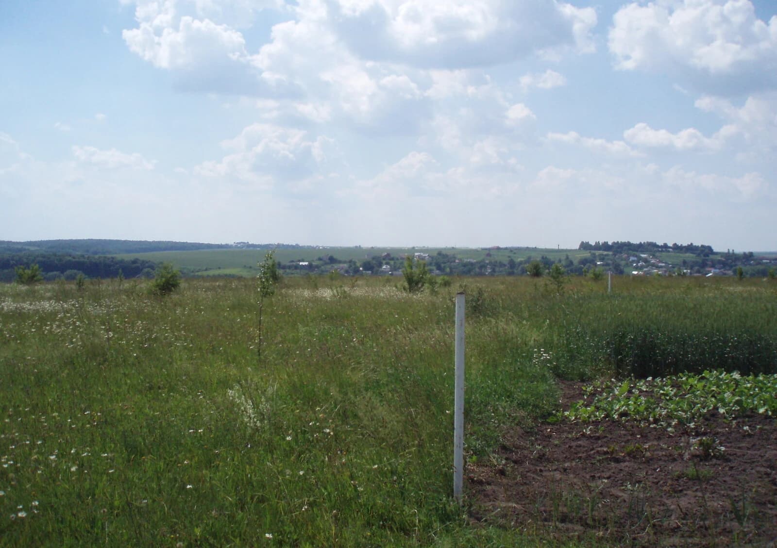 Ділянка 12 соток, Лозова: чорнозем, під гараж, 50 × 24 м - фото 2