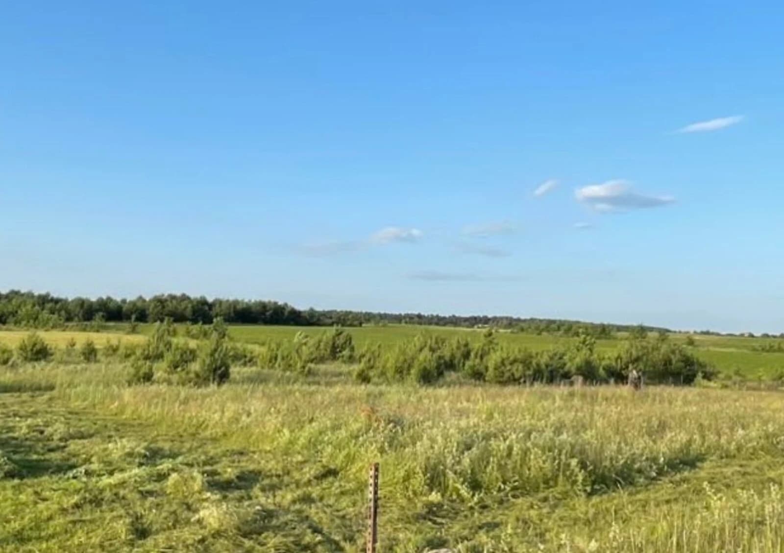Ділянка 13.22 сотки, Небіжка: під житлову забудову, під гараж - фото 3