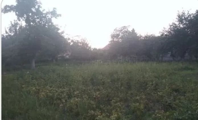Ділянка 8 соток, Васильків: рівна, огорожена - фото 2