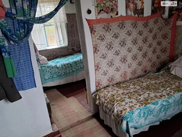 Будинок, Дружне: 47.82 сотки, літня кухня, криниця - фото 3